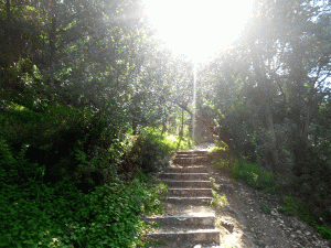 2. Starting The Ascent