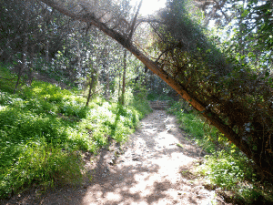 3. A Stage On The Way