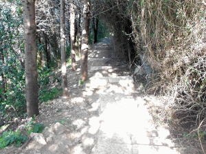 8. How Far I've Come