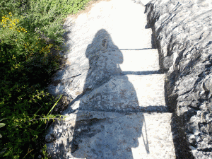 11. A Moment's Reflection On The Self