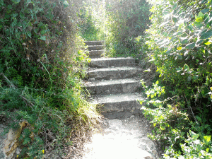 13. A Hint Of Paradise