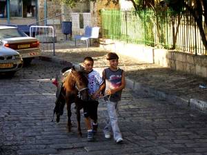 2 Boys & a Pony