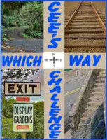 Which Way