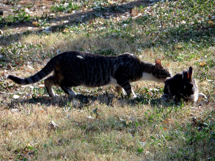 SAMSUNG CAMERA PICTURES